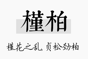 槿柏名字的寓意及含义