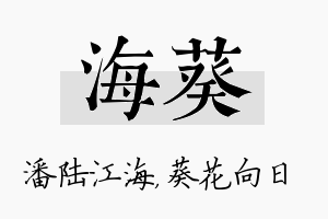 海葵名字的寓意及含义