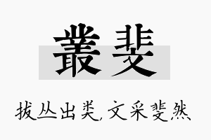 丛斐名字的寓意及含义