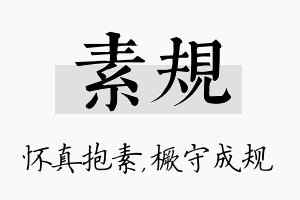 素规名字的寓意及含义