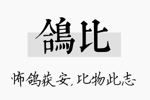 鸽比名字的寓意及含义