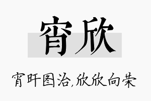 宵欣名字的寓意及含义