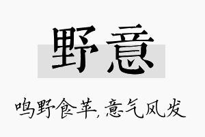 野意名字的寓意及含义