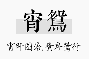 宵鸳名字的寓意及含义