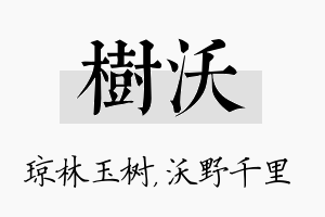 树沃名字的寓意及含义