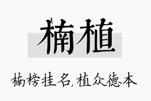 楠植名字的寓意及含义