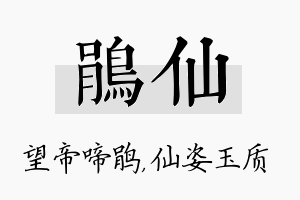 鹃仙名字的寓意及含义