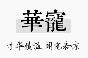 华宠名字的寓意及含义