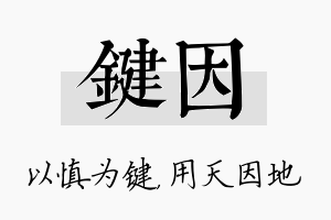 键因名字的寓意及含义