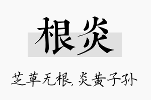 根炎名字的寓意及含义