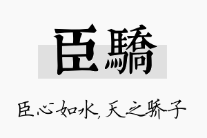 臣骄名字的寓意及含义