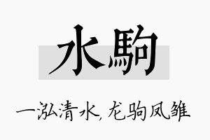 水驹名字的寓意及含义