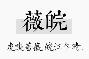 薇皖名字的寓意及含义