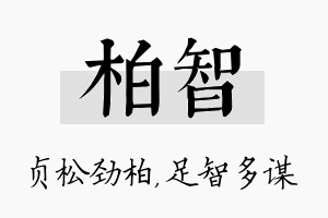 柏智名字的寓意及含义