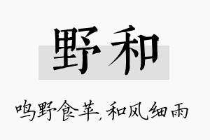 野和名字的寓意及含义