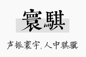 寰骐名字的寓意及含义