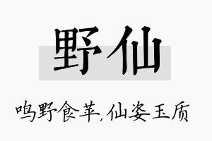 野仙名字的寓意及含义