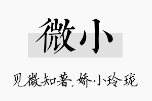 微小名字的寓意及含义