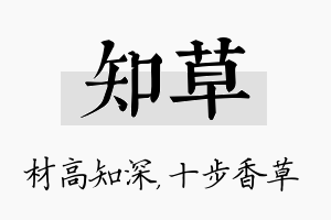 知草名字的寓意及含义