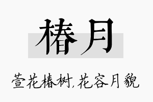 椿月名字的寓意及含义