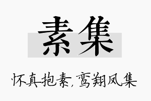 素集名字的寓意及含义