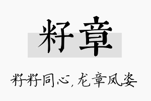 籽章名字的寓意及含义