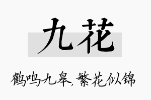 九花名字的寓意及含义