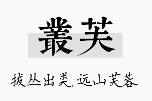 丛芙名字的寓意及含义