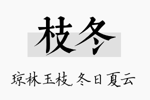 枝冬名字的寓意及含义