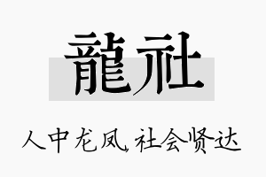 龙社名字的寓意及含义