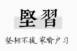 坚习名字的寓意及含义