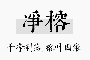 净榕名字的寓意及含义