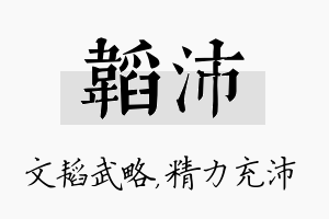 韬沛名字的寓意及含义