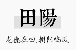 田阳名字的寓意及含义