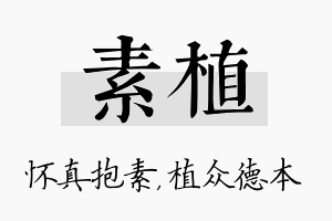 素植名字的寓意及含义