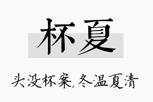 杯夏名字的寓意及含义