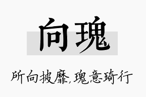 向瑰名字的寓意及含义