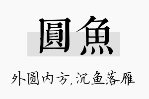 圆鱼名字的寓意及含义