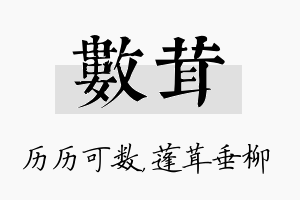 数茸名字的寓意及含义