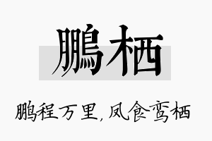 鹏栖名字的寓意及含义