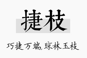 捷枝名字的寓意及含义