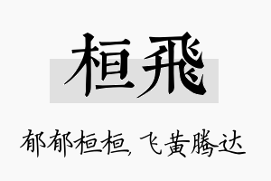 桓飞名字的寓意及含义