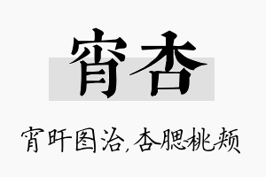 宵杏名字的寓意及含义