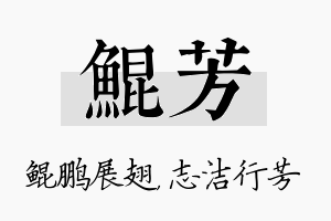 鲲芳名字的寓意及含义