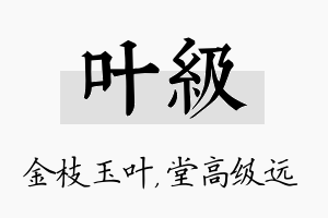 叶级名字的寓意及含义