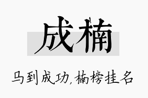 成楠名字的寓意及含义