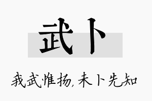 武卜名字的寓意及含义