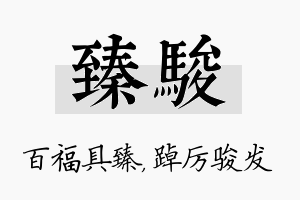 臻骏名字的寓意及含义