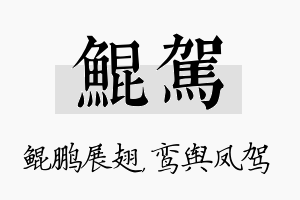 鲲驾名字的寓意及含义