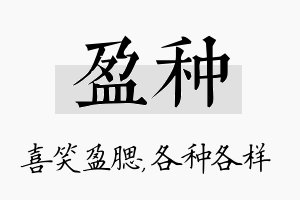 盈种名字的寓意及含义